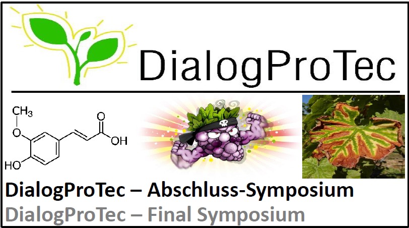 dialogprotec-abschluss-symposium